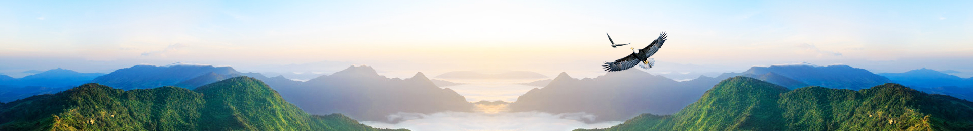 行業(yè)動態(tài)