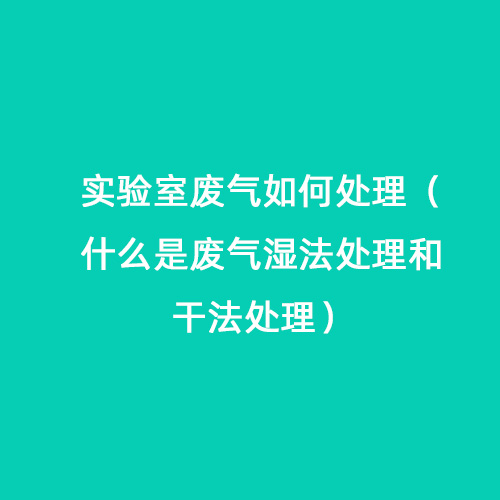 實驗室廢氣如何處理（什么是廢氣濕法處理和干法處理）